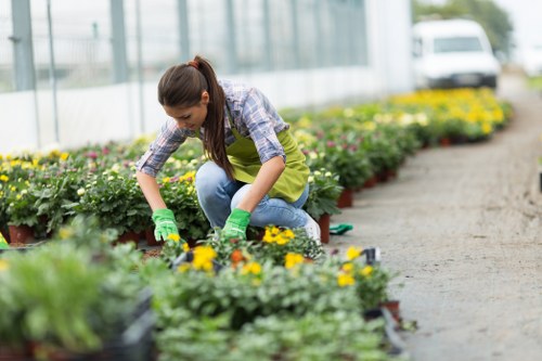 Illustration representing accessible gardening support in Shooters Hill