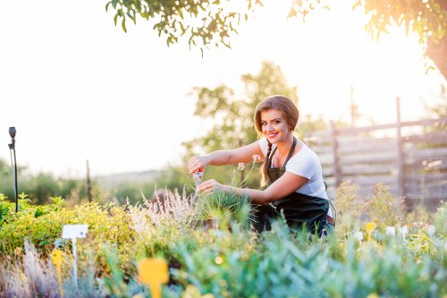 Gardening work in Shooters Hill with seasonal planting and lawn care