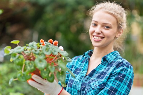 Hedge trimming and pruning in a Shooters Hill garden
