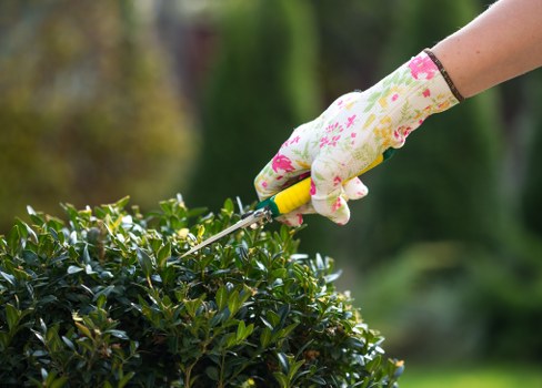 Fair assessment of a gardening complaint