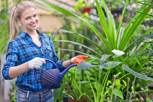 Local gardener maintaining borders and hedges in Shooters Hill