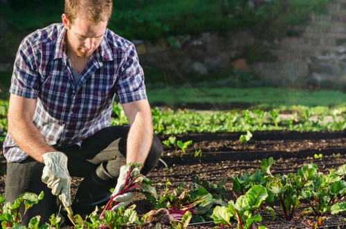 Seasonal planting scheme for landscape gardening in Shooters Hill