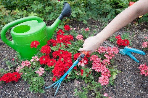 Gardener inspecting a work area before starting tasks