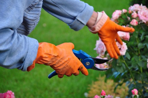 Professional Shooters Hill gardeners caring for diverse outdoor spaces