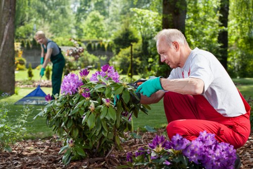 Professional grass cutting in a local Shooters Hill garden
