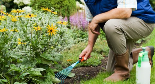 Well-kept Shooters Hill garden after expert gardening services