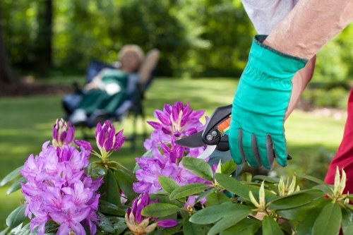 Professional gardener carrying out safe and responsible garden maintenance