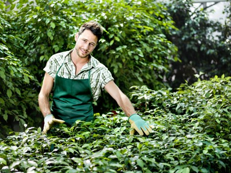 Local gardeners improving a Shooters Hill garden landscape