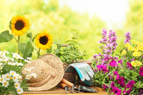 About our Gardeners Shooters Hill service and garden identity