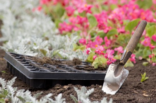 Stump grinding and tree surgery maintenance in Shooters Hill