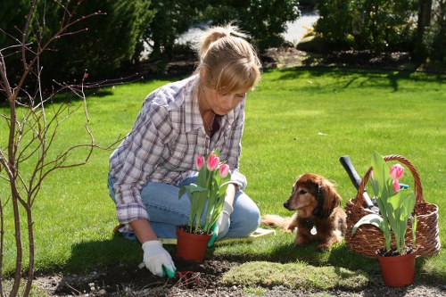 Modern slavery awareness and supplier responsibility at Gardeners Shooters Hill
