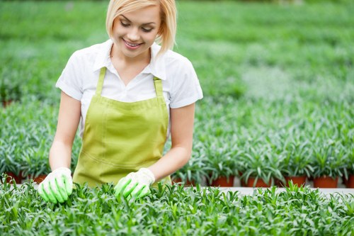 Illustration showing screen-reader friendly local gardening content