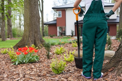 Seasonal lawn maintenance in Shooters Hill with mowing and feeding