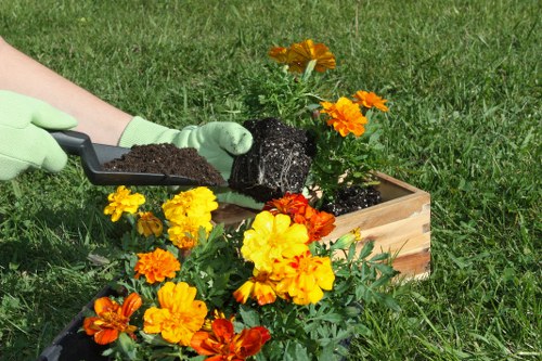 Seasonal gardening work in Shooters Hill with planting and pruning