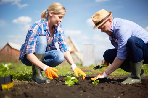 Trusted Shooters Hill gardeners focused on insurance and safety