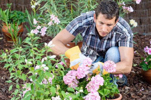 Garden maintenance booking and service terms document on a clipboard